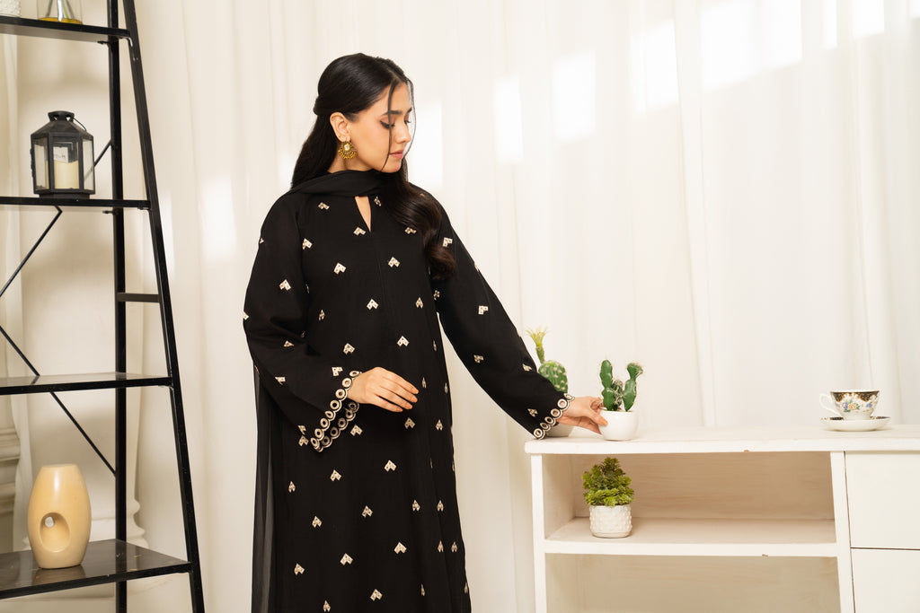 Noir Zahra 2Pc (30% OFF)